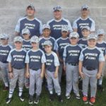 Cute and Clever T-Ball Team Names