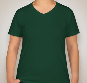 hanes-ladies-comfortsoft-lightweight-tagless-v-neck-t-shirt