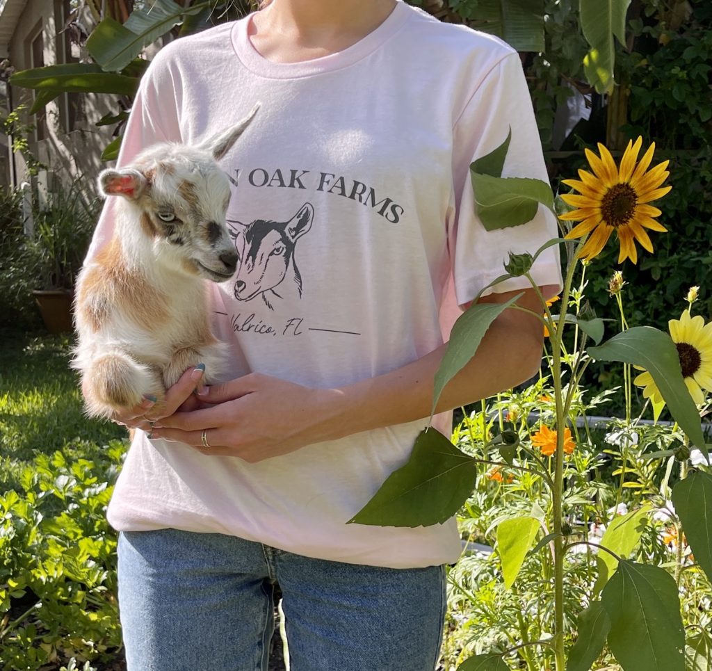 Person showing off the goat Fallen Oak Farms shirt with a goat in hand.