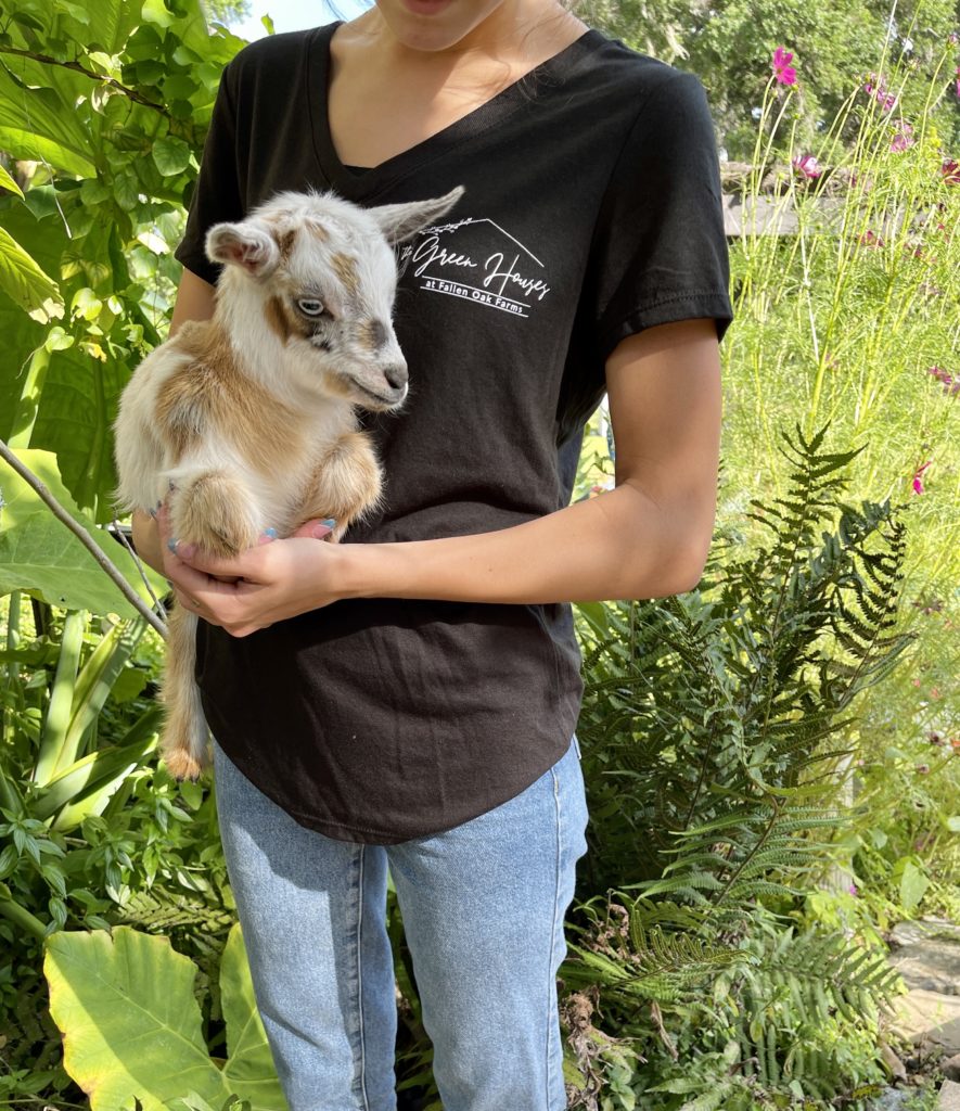 Person holding a baby goat and wearing a The Green Houses at Fallen Oak Farms shirt.
