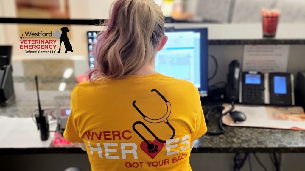 Back of woman at office desk with WVERC HEROES printed on the back of the shirt.