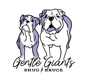 linework art of two bulldogs with the text "Gentle Giants: Shug & Bruce"