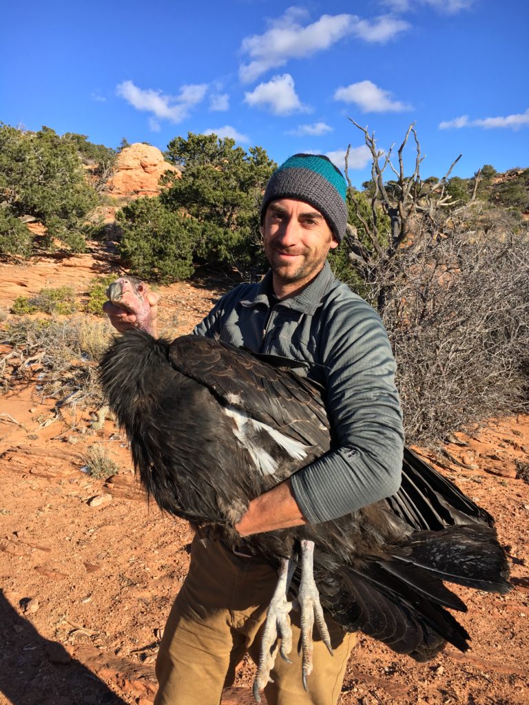 Tim Hauk holding a condor
